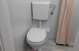 Garsoniera de 22 mp, mobilata si utilata, zona B-dul. Muncii