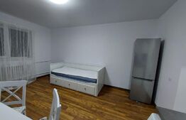 Garsoniera de 22 mp, mobilata si utilata, zona B-dul. Muncii