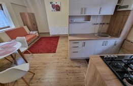 Ultracentral! Apartament modern, 48mp, parcare, zona Pta Mihai Viteazu
