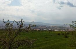 Teren in Dambul Rotund 8310 mp extravilan