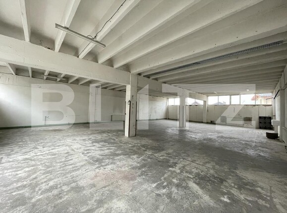 Spațiu industrial de închiriat Marasti - 115424SII | BLITZ Cluj-Napoca | Poza1