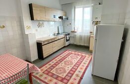 Apartament 2 camere, 40 mp, mobilat, Gruia