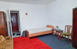 Garsoniera 32 mp, etaj intermediar, Zona DETUNATA