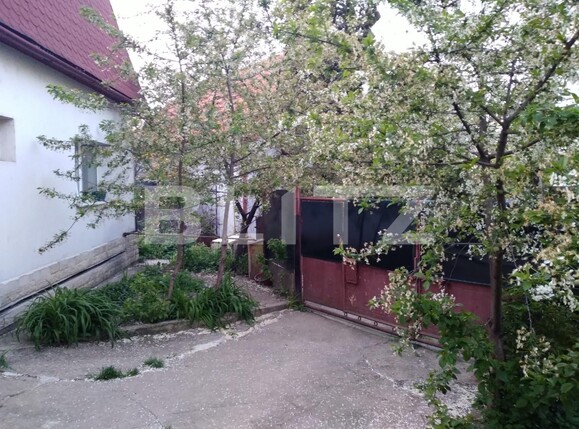 Casa de vânzare 8 camere Zorilor - 115528CV | BLITZ Cluj-Napoca | Poza15