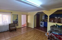 Casa individuala cu 5 camere, 216 mp de teren