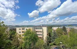 Oportunitate de investitie Apartament cu 1 camera, decomandat 25,2 mp in zona parcului Iuliu Prodan