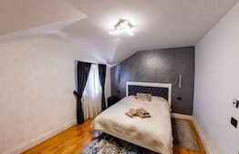 Comision 0, Casa de vacanta in exclusivitate, finisata, mobilata lux, Borsa Maramures