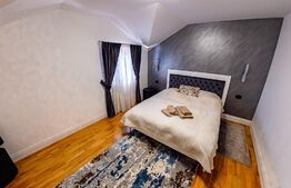 Comision 0, Casa de vacanta in exclusivitate, finisata, mobilata lux, Borsa Maramures