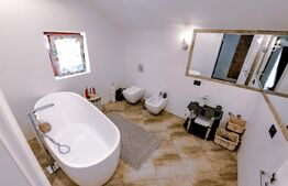 Comision 0, Casa de vacanta in exclusivitate, finisata, mobilata lux, Borsa Maramures