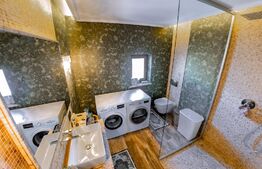 Comision 0, Casa de vacanta in exclusivitate, finisata, mobilata lux, Borsa Maramures