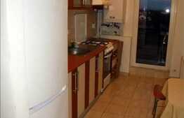 Apartament 1 camera, 44 mp utili, imobil nou, mobilat modern, zona Iulius Mall