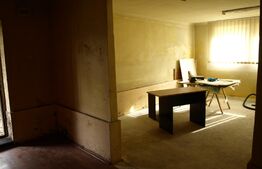 Casa duplex interbelica, 210 mp, 309 mp teren, Grigorescu