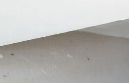 Casa Duplex in Popesti Baciu Cluj cu teren de 1100 mp panorama