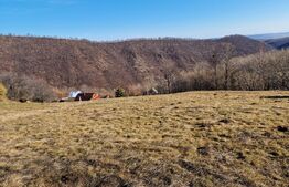 Teren 3600 mp, pretabil pt case de vacanțe, zona Valea Ierii