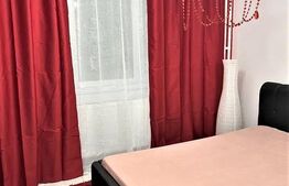 Apartament cu 2 camere, 44 mp, recent renovat, zona Mercur