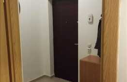Apartament 1 camera, 38 mp, complet mobilat si utilat, zona Hotel Paradis!