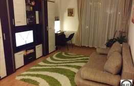 Apartament 1 camera, 38 mp, complet mobilat si utilat, zona Hotel Paradis!