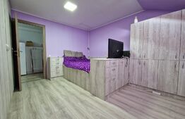 Apartament de 2 camere mobilat, pod 100mp, parcare, zona Terra