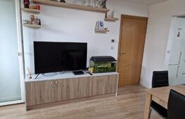 Apartament de 2 camere mobilat, pod 100mp, parcare, zona Terra