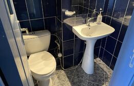 Apartament 3 camere, etaj intermediar, 2 bai, garaj, Dorobantilor