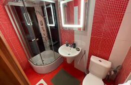 Apartament 3 camere, 110 mp, 2 parcari, pet friendly, zona străzii Trifoiului