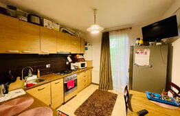 Apartament 2 camere, 70mp,  terasa inchisa , zona Porii!