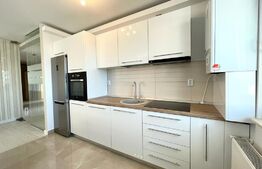 Penthouse 4 camere, 105 mp, terasa, zona străzii Observatorului