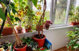 Apartament 3 camere, 62 mp, semidecomandat, zona Astra