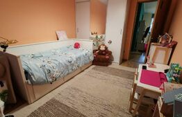 Apartament 3 camere, 61mp, gradina 60mp, parcare! Zona Tineretului