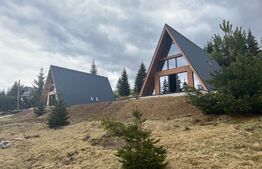 Cabana Marisel 120 mp utili, 1000 mp teren