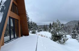 Cabana Marisel 120 mp utili, 1000 mp teren