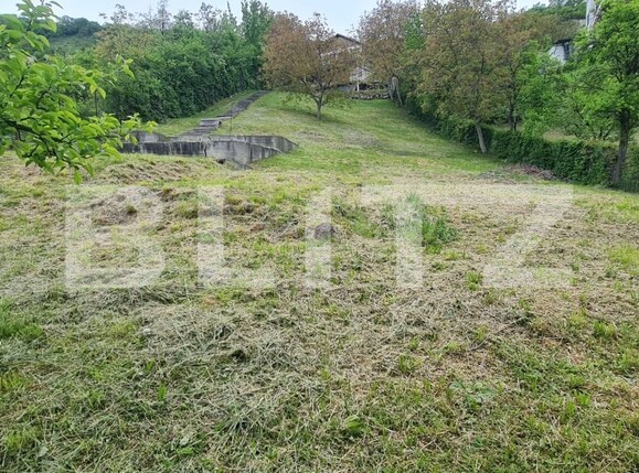 Casa de vânzare 6 camere Grigorescu - 116046CV | BLITZ Cluj-Napoca | Poza13