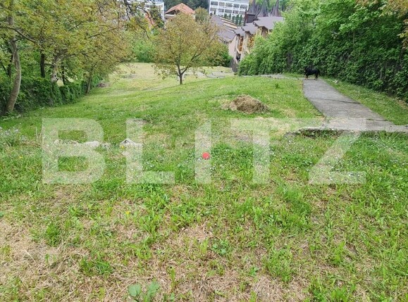 Casa de vânzare 6 camere Grigorescu - 116046CV | BLITZ Cluj-Napoca | Poza15