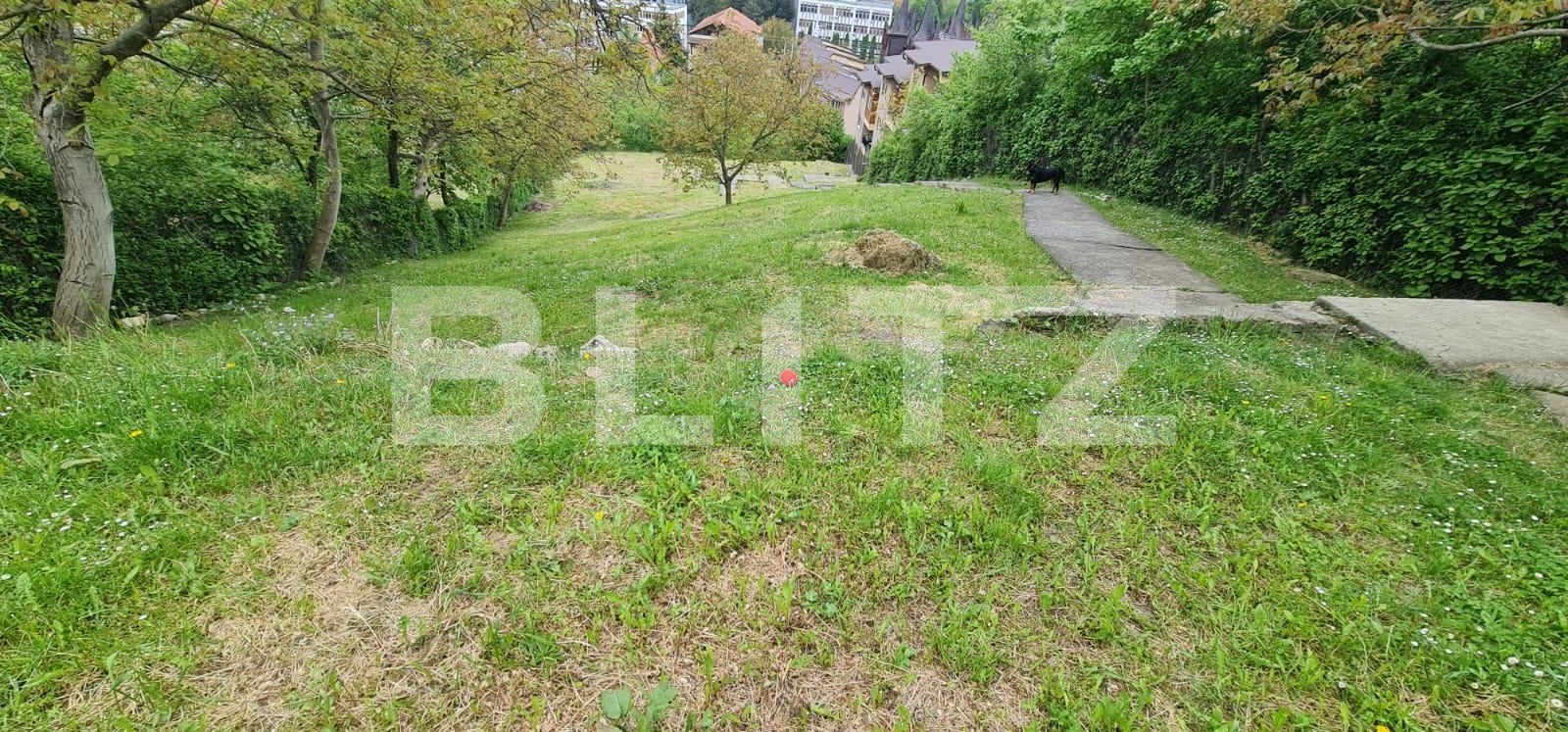 Casa de vânzare 6 camere Grigorescu - 116046CV | BLITZ Cluj-Napoca | Poza15