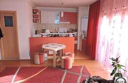 Vanzare apartament 1 camera, 33 mp, POD de 34 mp, zona Avram Iancu! Imobil nou!