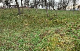 Teren 1900 mp, front 2 strazi, Jucu de Sus