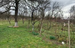 Teren 1900 mp, front 2 strazi, Jucu de Sus