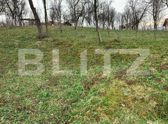 Teren de vânzare Jucu de Sus - 116062TV | BLITZ Cluj-Napoca | Poza3
