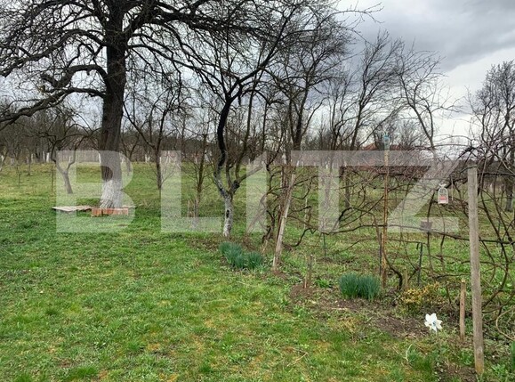 Teren de vânzare Jucu de Sus - 116062TV | BLITZ Cluj-Napoca | Poza1