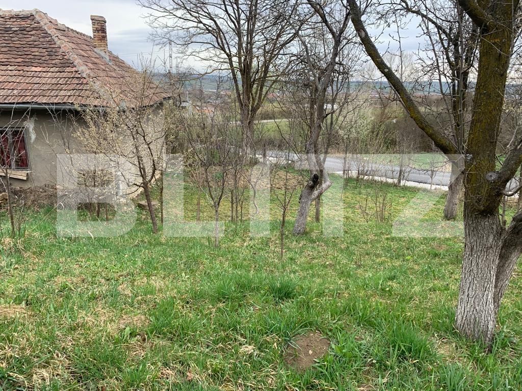 Teren de vânzare Jucu de Sus - 116062TV | BLITZ Cluj-Napoca | Poza2