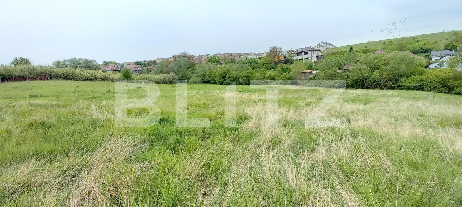 Teren de vânzare Dezmir - 116152TV | BLITZ Cluj-Napoca | Poza4