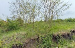 Teren extravilan, 961 mp, utilitati in zona , Valea Chintaului