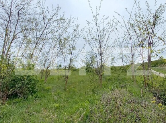 Teren de vânzare Exterior Nord - 116156TV | BLITZ Cluj-Napoca | Poza2