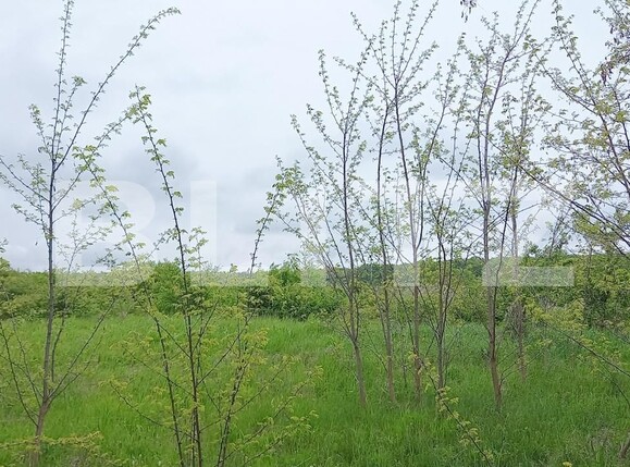 Teren de vânzare Exterior Nord - 116156TV | BLITZ Cluj-Napoca | Poza3