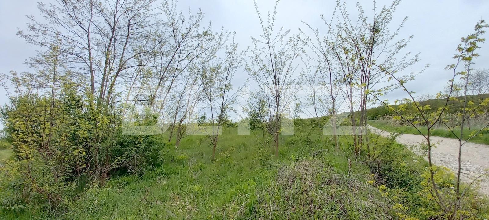 Teren de vânzare Exterior Nord - 116156TV | BLITZ Cluj-Napoca | Poza2