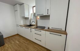 Apartament 3 camere, mobilat modern, 60 mp, zona Mihai Viteazu