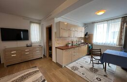 Apartament 3 camere, 60 mp, gradina, parcare, zona Somesului