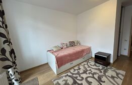 Apartament 3 camere, 60 mp, gradina, parcare, zona Somesului