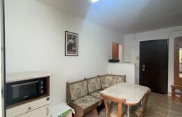 Apartament 2 camere, decomandat, 56 mp, pet friendly, zona strazii Plopilor