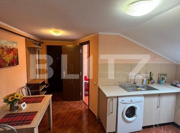 Garsonieră de vânzare Iris - 116224AV | BLITZ Cluj-Napoca | Poza1